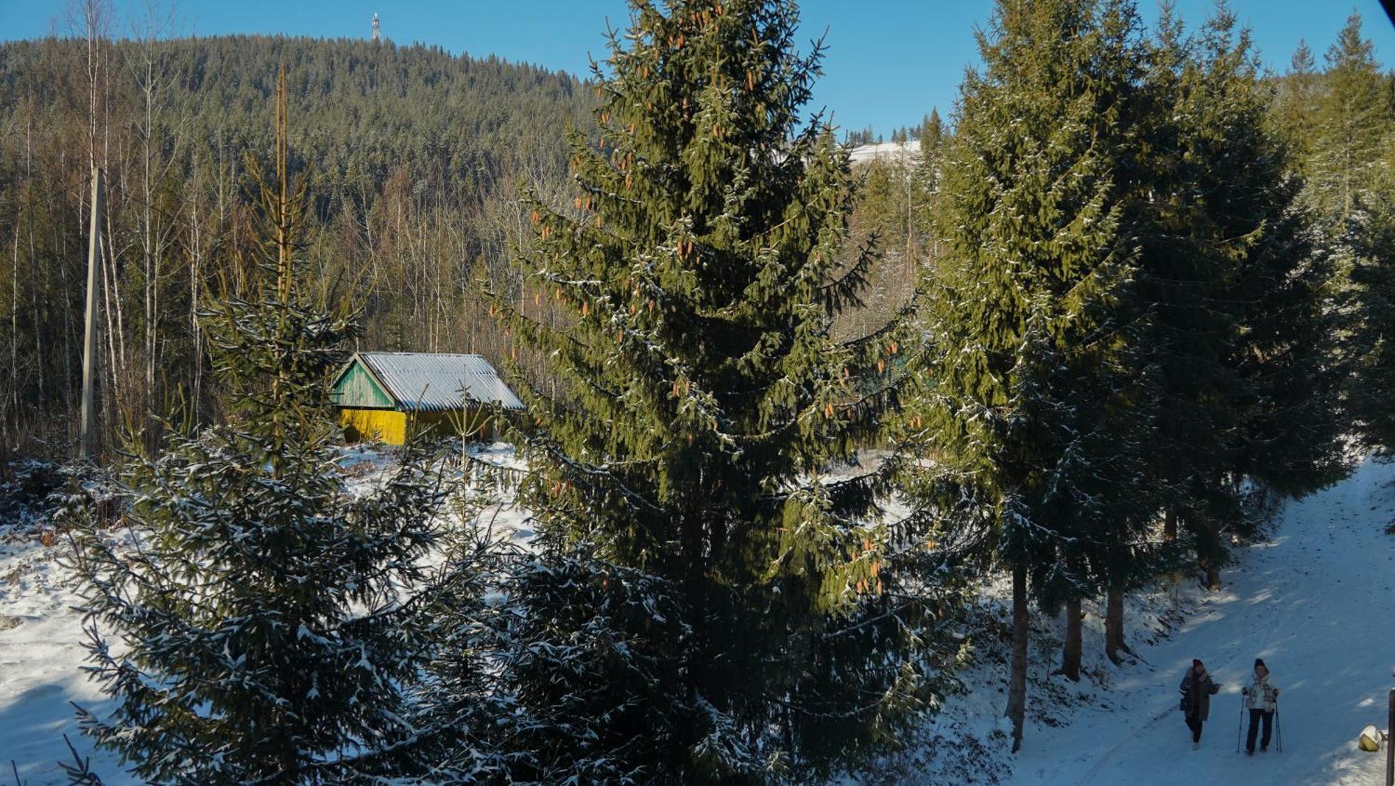Karpatski Dzherela Jaremtsje Buitenkant foto