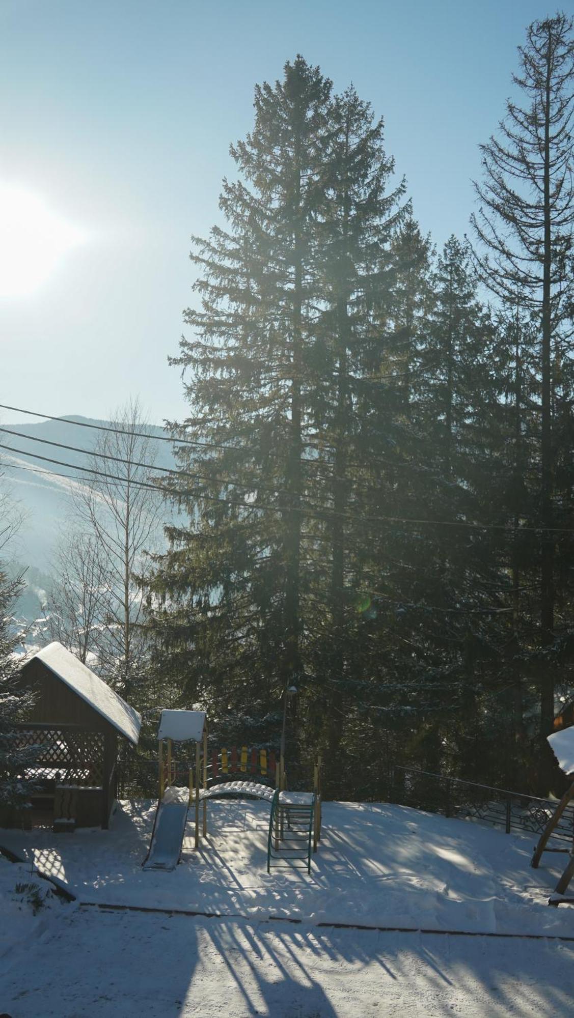 Karpatski Dzherela Jaremtsje Buitenkant foto